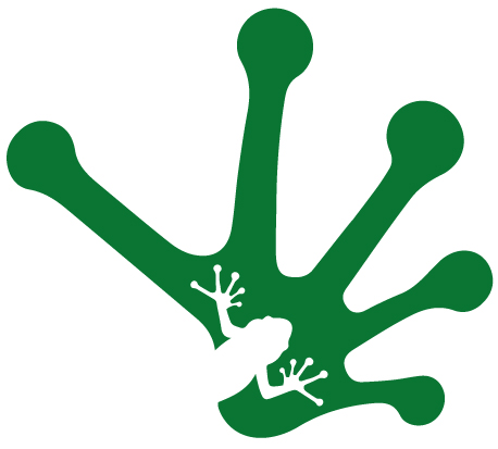 Five Frogs